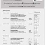 Gestalter Für Visuelles Marketing Bewerbung Vorlage Süß Lebenslauf Muster 19 Bewerbungswissen