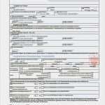 Gewerbeschein Vorlage Süß 13 Muster Gewerbeschein