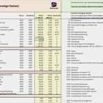 Gewinn Und Verlustrechnung Kleinunternehmer Vorlage Neu Gewinn Und Verlustrechnung Kleinunternehmer Vorlage Quick