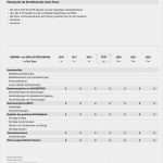 Gewinn Und Verlustrechnung Vorlage Pdf Luxus Numbers Vorlage Finanzplanung