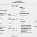 Gewinn Und Verlustrechnung Vorlage Pdf Süß Gewinn Und Verlustrechnung Verein Vorlage – Kostenlos Vorlagen