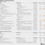 Gewinn Verlust Rechnung Vorlage Bewundernswert Gewinn Und Verlustrechnung Kleinunternehmer Vorlage Schön