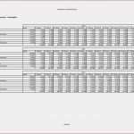 Gewinn Verlustrechnung Excel Vorlage Erstaunlich Gewinn Und Verlustrechnung Vorlage Gewinn Verlustrechnung