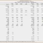 Gewinn Verlustrechnung Excel Vorlage Inspiration 16 Gewinn Und Verlustrechnung Vorlage Vorlagen123