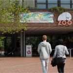 Gewinnspiel Flyer Vorlage Gut Gutscheine Zoo Osnabrück