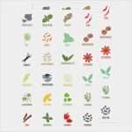 Gewürz Etiketten Vorlage Einzigartig Gewürz Etiketten Weiß 48 Stück