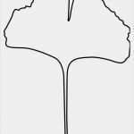 Ginkgo Blatt Vorlage Erstaunlich Malvorlage Ginko Blatt
