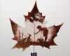 Ginkgo Blatt Vorlage Hübsch Beautiful Art "carving" Inside A Maple Leaf National