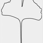 Ginkgo Blatt Vorlage Schönste Malvorlage Ginko Blatt