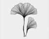 Ginkgo Blatt Vorlage Wunderbar 39 Best Ginkgo Leaf Images On Pinterest