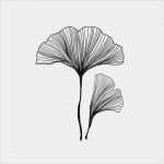 Ginkgo Blatt Vorlage Wunderbar 39 Best Ginkgo Leaf Images On Pinterest