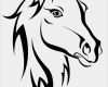 Glasgravur Vorlagen Zum Ausdrucken Genial Black Horse Silhouette Stockfoto