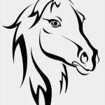 Glasgravur Vorlagen Zum Ausdrucken Genial Black Horse Silhouette Stockfoto