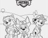 Glasgravur Vorlagen Zum Ausdrucken Großartig Pin Von Susan Domehl Auf Paw Patrol & Super Wings