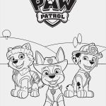 Glasgravur Vorlagen Zum Ausdrucken Großartig Pin Von Susan Domehl Auf Paw Patrol &amp; Super Wings