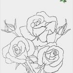 Glasmalerei Vorlagen Luxus Blumen Vorlagen 3 Window Color Bilder