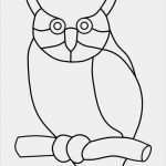 Glasmalerei Vorlagen Wunderbar Pin by Pierre Meyer On Tiffany Paterns