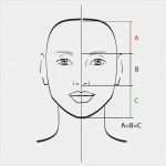 Goldener Schnitt Vorlage Genial Perfecte Gezicht Verhoudingen Vectorillustratie