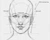 Goldener Schnitt Vorlage Luxus Gesicht Zeichnen Lernen Proportion Und Tutorial Dekoking