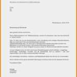 Google Docs Bewerbung Vorlage Angenehm 15 Bewerbung Zum Praktikum Vorlage