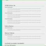 Google Docs Bewerbung Vorlage Best Of 11 Free Lebenslauf Muster Google Docs Interview