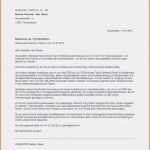 Google Docs Bewerbung Vorlage Cool 72 Süß Interne Bewerbung Vorlage Abbildung