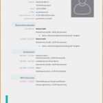 Google Docs Bewerbung Vorlage Süß 17 Motivationsschreiben Design