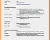 Google Docs Lebenslauf Vorlage Erstaunlich Tabellarischer Lebenslauf Vorlage Kostenlose Muster Zum
