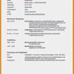 Google Lebenslauf Vorlage Cool Tabellarischer Lebenslauf Vorlage Kostenlose Muster Zum