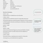 Google Lebenslauf Vorlage Großartig 15 Lebenslauf Elternzeit