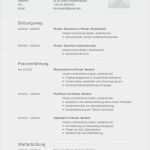 Google Lebenslauf Vorlage Neu 31 Best Images About Lebenslauf Vorlagen & Muster On