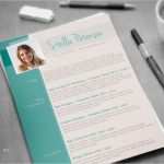 Google Lebenslauf Vorlage Schönste Lebenslauf Vorlage Modern Google Suche