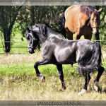 Gratis Homepage Vorlagen Neu Free Homepage Vorlagen Free Programs Filecloudor