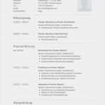 Gratis Lebenslauf Vorlage Angenehm 31 Best Images About Lebenslauf Vorlagen & Muster On