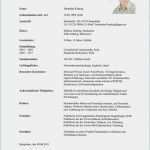 Gratis Lebenslauf Vorlage Cool Gratis Lebenslauf Vorlage Zum Ausfüllen Special Wallpapers