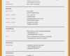 Gratis Lebenslauf Vorlage Word Cool 11 Lebenslauf Vorlage Word Gratis