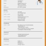 Gratis Lebenslauf Vorlage Word Cool 11 Lebenslauf Vorlage Word Gratis