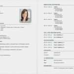 Gratis Lebenslauf Vorlage Word Genial Vorlage Lebenslauf Tabellarischer Lebenslauf Schweiz