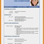 Gratis Lebenslauf Vorlage Word Schön 11 Lebenslauf Vorlage Word Gratis