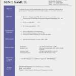 Gratis Lebenslauf Vorlage Word Schönste 10 Lebenslauf Vorlage Wort Vorlagen123 Vorlagen123