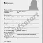 Gratis Lebenslauf Vorlage Zum Ausfüllen Angenehm 15 Undergraduate Lebenslauf Vorlage Zum Ausfüllen