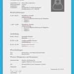 Gratis Lebenslauf Vorlage Zum Ausfüllen Hübsch Lebenslauf Vorlage Zum Ausf U00fcllen Lebenslauf Vorlage