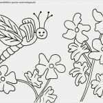 Gratis Vorlagen Fabelhaft Ausmalbilder Blumen Kostenlos Malvorlagen Zum Ausdrucken