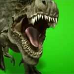 Greenscreen Vorlagen Download Beste Green Screen Effects Free