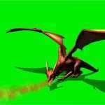 Greenscreen Vorlagen Download Elegant Dragon Spits Fire Green Screen