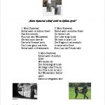 Grobplanung Unterricht Vorlage Best Of Unterricht