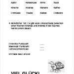 Grobplanung Unterricht Vorlage Erstaunlich Unterricht