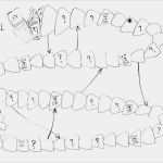 Grobplanung Unterricht Vorlage Erstaunlich Zebis