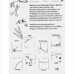Grobplanung Unterricht Vorlage Neu Unterricht