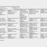 Grobplanung Unterricht Vorlage Schönste Praxishilfen